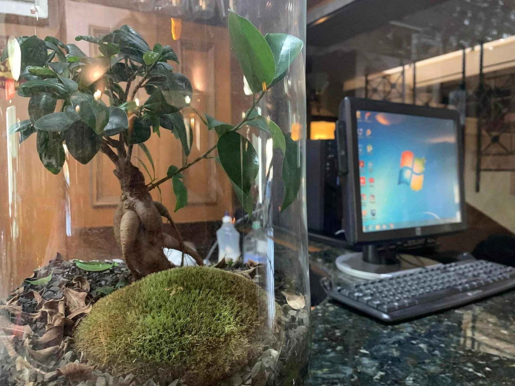 Bansko Boutique Hotel エクステリア 写真